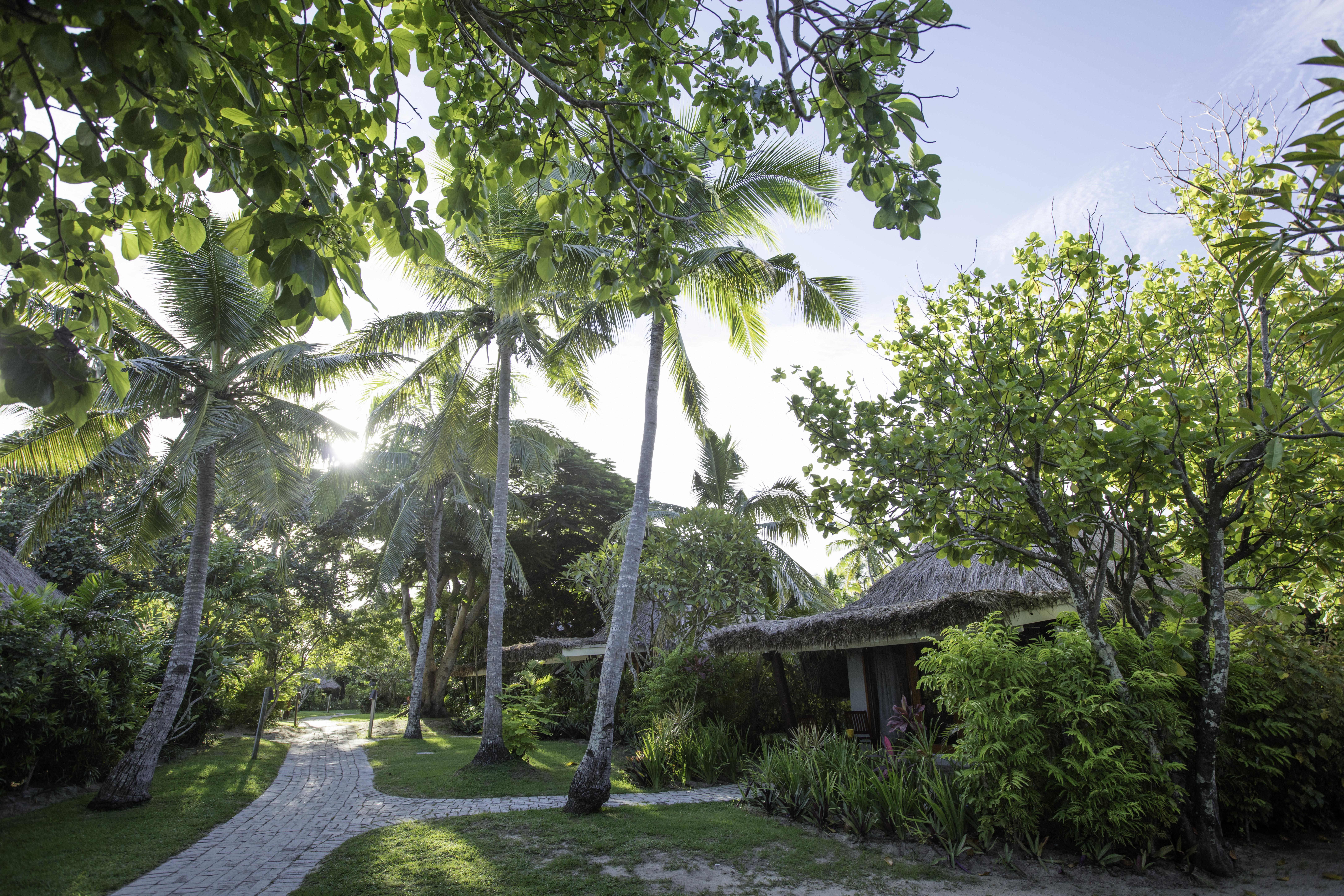 Hotel Castaway Island, Fiji Exteriér fotografie